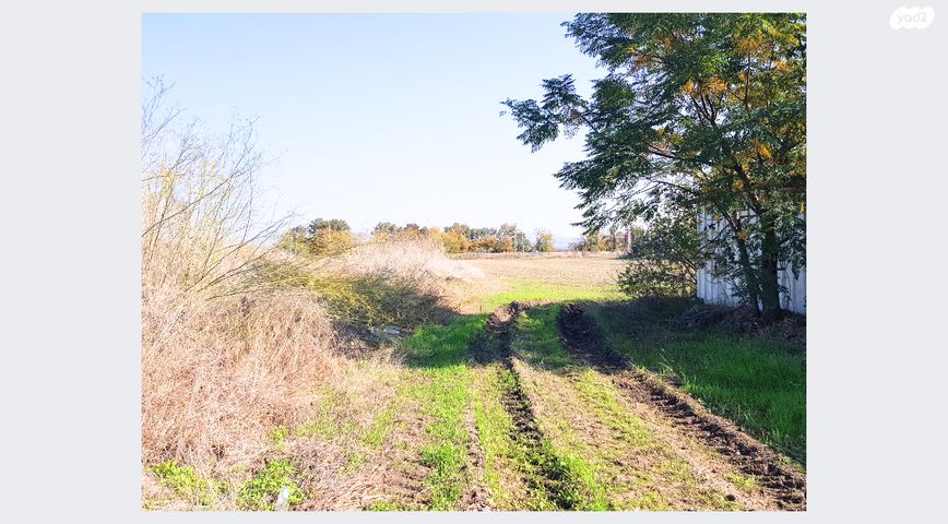 משק חקלאי/ נחלה