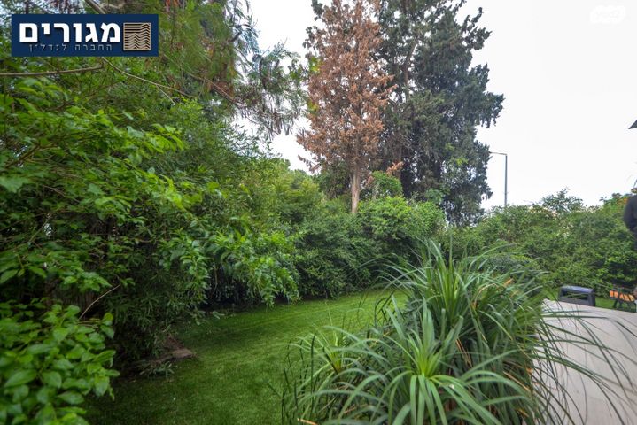 דירת גן, דרך הים, כרמל מערבי, חיפה