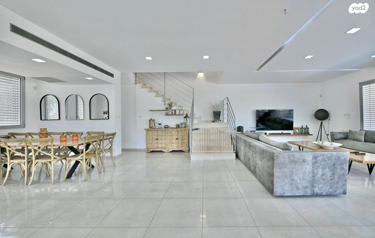 דו משפחתי, טירת שלום, נס ציונה