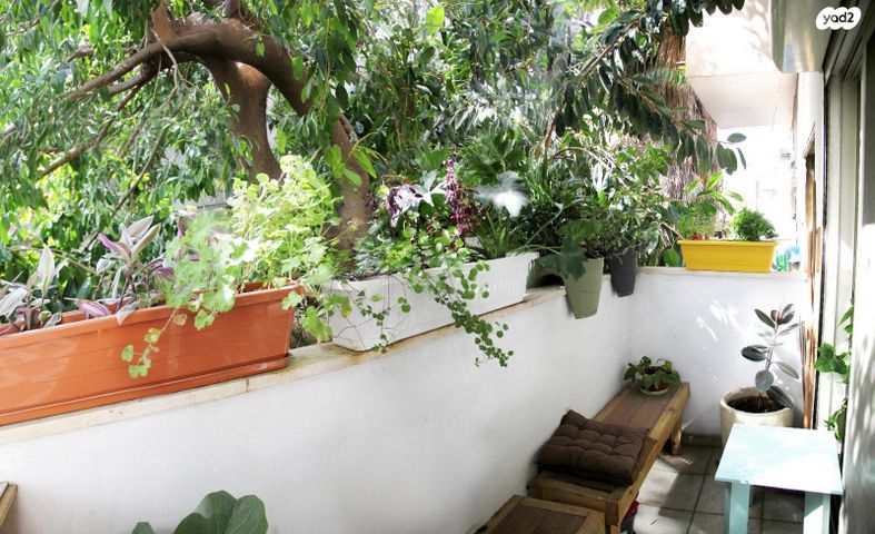 דירה, נחלת בנימין, פלורנטין, תל אביב יפו