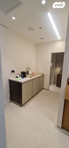 משרדים, שביט 8, שאר העיר, נס ציונה