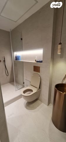 משרדים, שביט 8, שאר העיר, נס ציונה