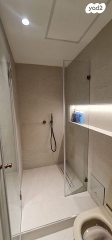 משרדים, שביט 8, שאר העיר, נס ציונה