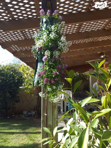 בית פרטי/ קוטג', הרותם 9, חבצלת, רחובות