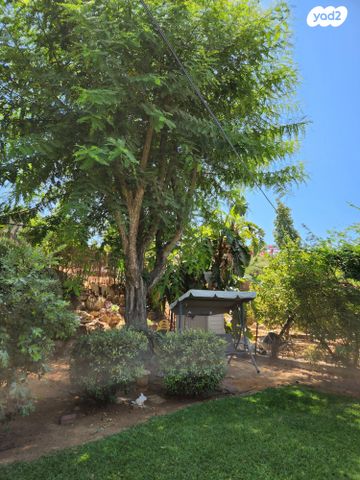 בית פרטי/ קוטג', הרותם 9, חבצלת, רחובות