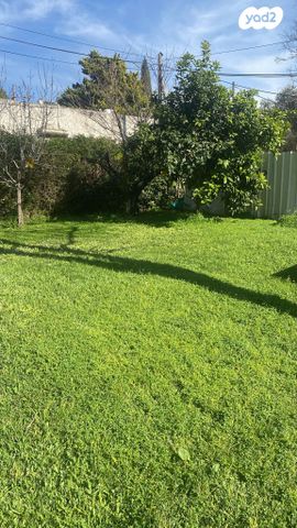 מגרשים, קרית עמל, קרית טבעון