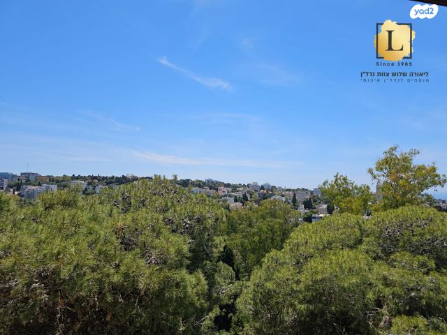 גג/ פנטהאוז, איריס, רמת התשבי, חיפה