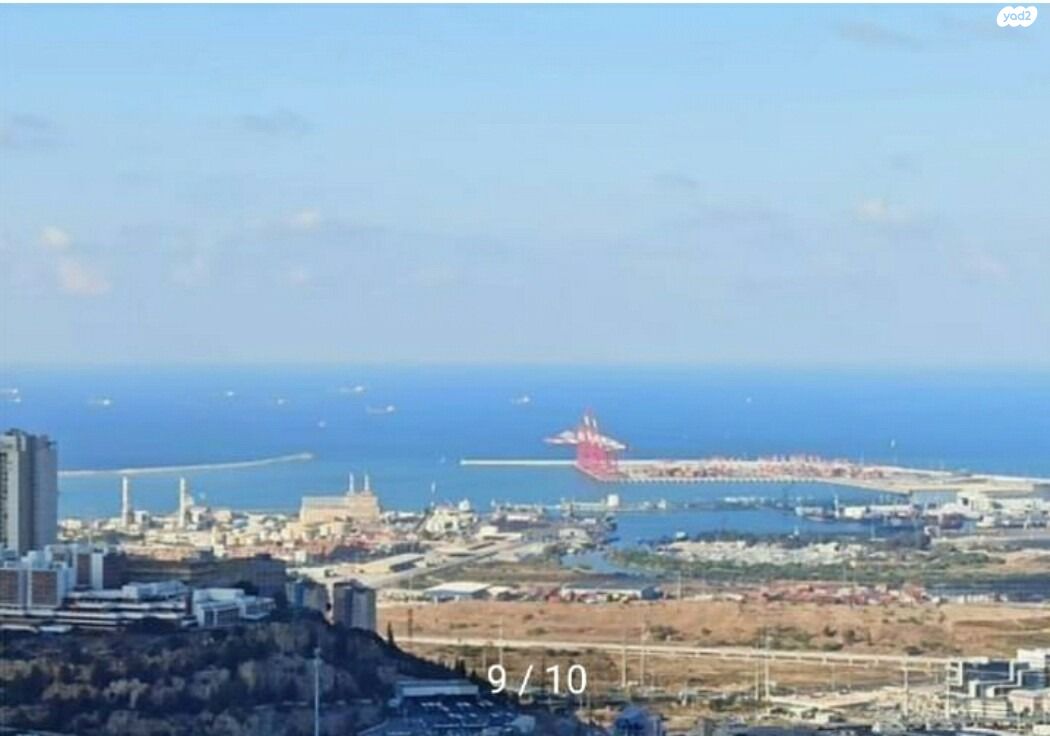 הערבה 