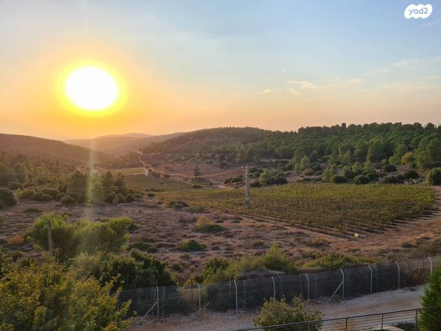 בית פרטי/ קוטג', צור הדסה