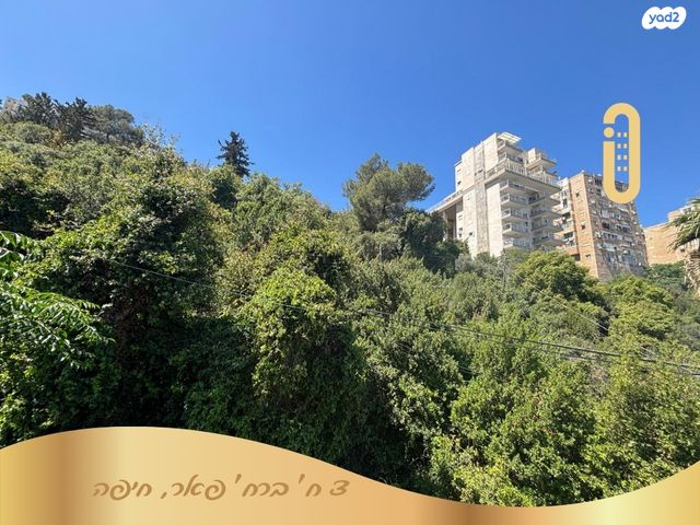 דירה, פאר, תל עמל, חיפה