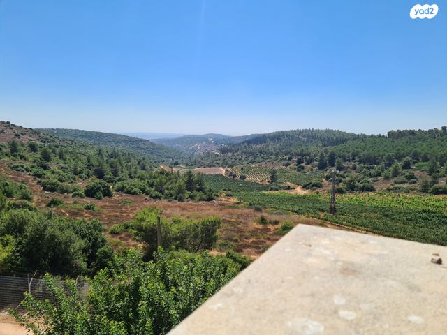 בית פרטי/ קוטג', צור הדסה