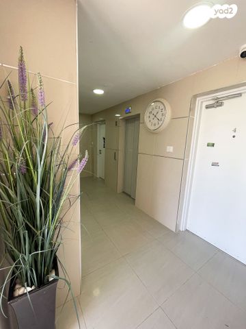 דירה, השחר, דימונה