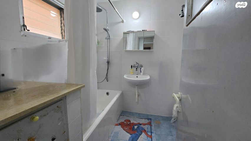 דירה, זלמן שז"ר, בן גוריון כנען, צפת