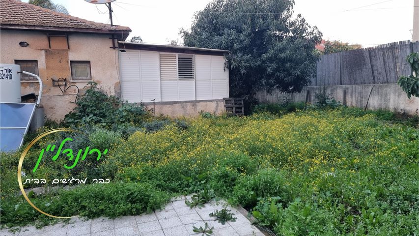 מרכז מזרחי