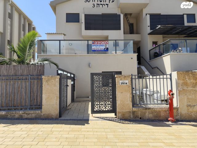 עץ השדה 
