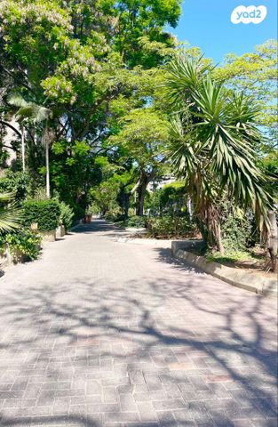 דירה, יהושע רבינוביץ, בן גוריון, חולון