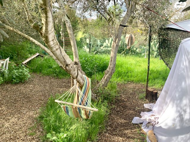 דו משפחתי, מרכז עפולה עלית, עפולה