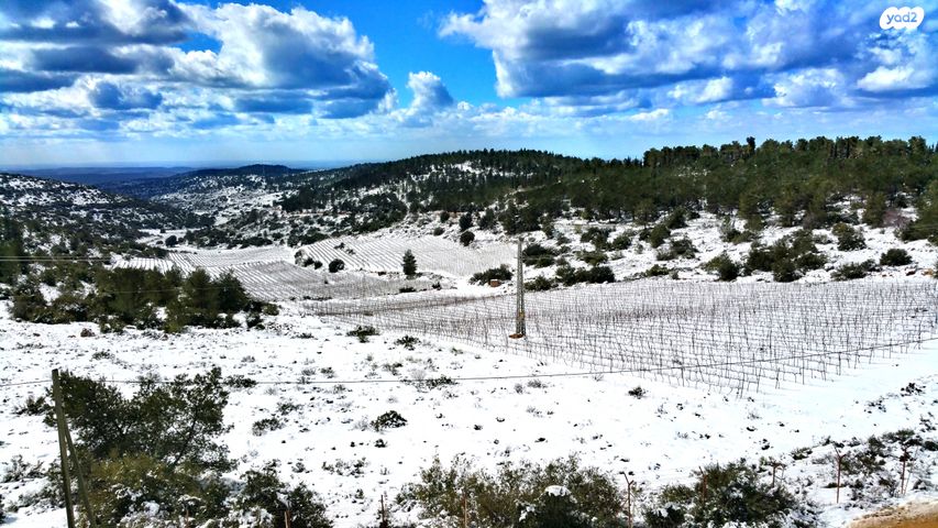 בית פרטי/ קוטג', צור הדסה