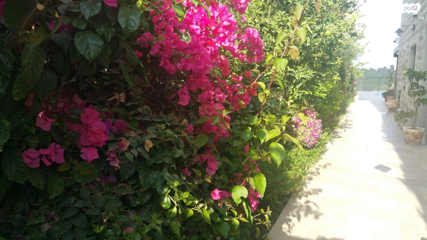 בית פרטי/ קוטג', צור הדסה