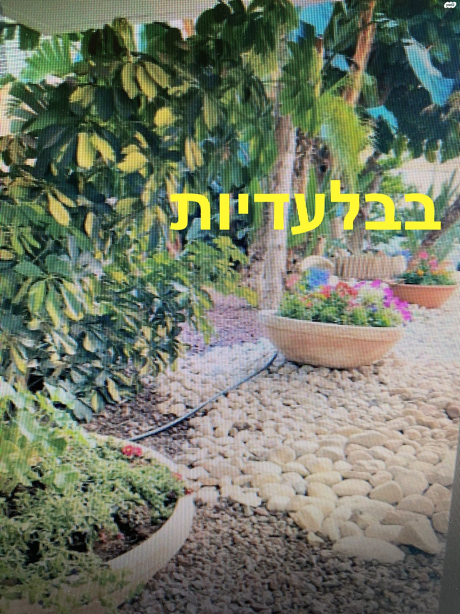 כצנלסון