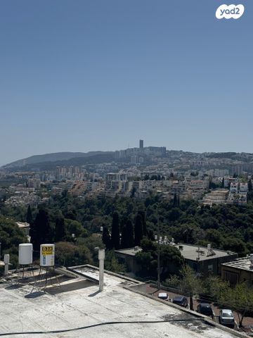 דירה, שדרות ודג'ווד, מרכז הכרמל, חיפה