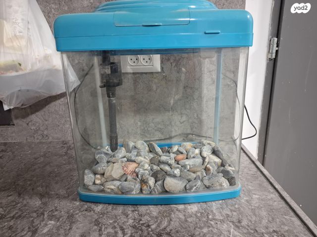 תמונת מודעה - חיות מחמד