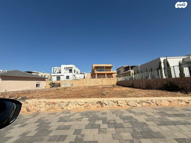 רקפת 1