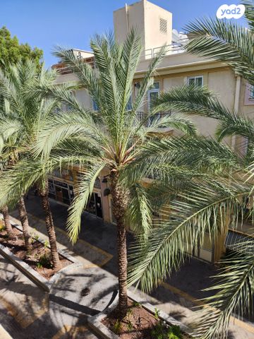 דירה, קהילת סלוניקי 5, שער פלמר, תחנת רכבת השמונה, חיפה