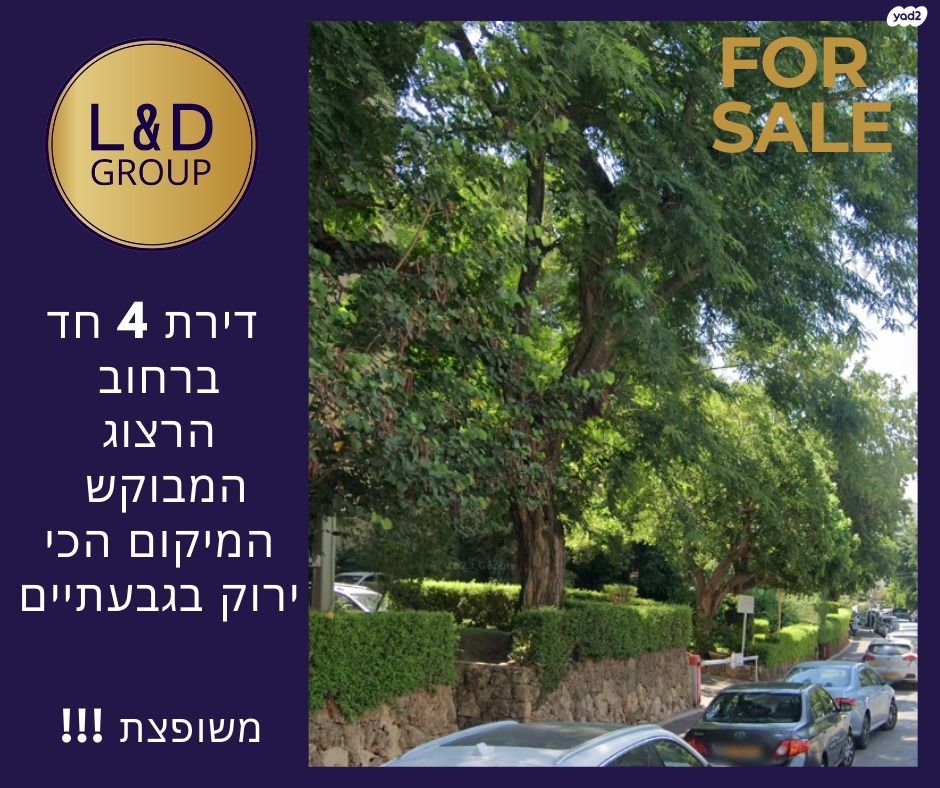 הרב הרצוג 