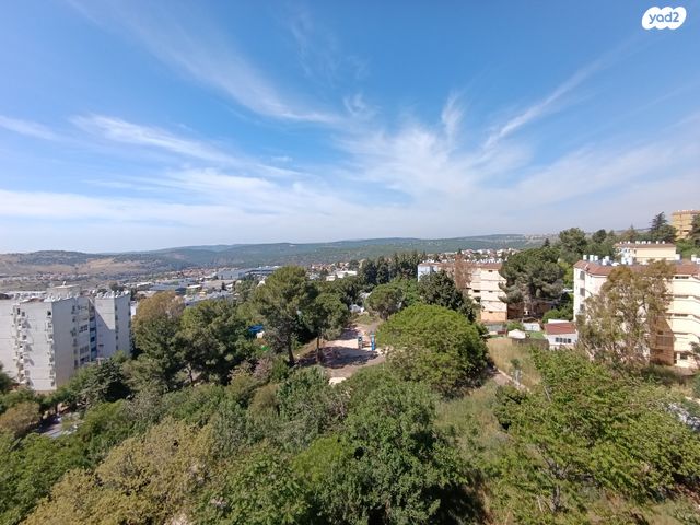 ז'בוטינסקי 430