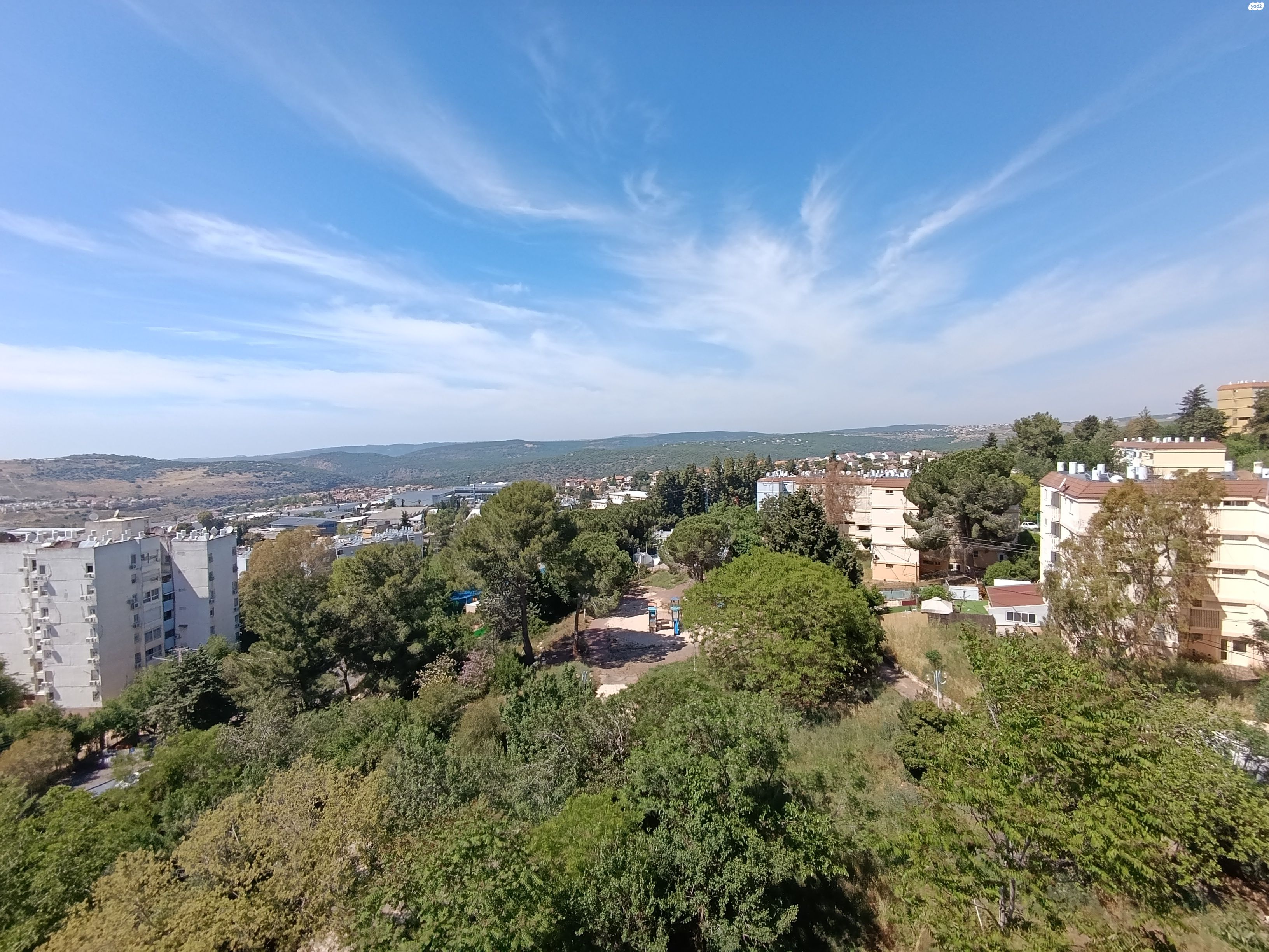 ז'בוטינסקי 430