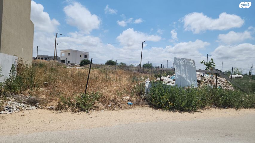 הדרור 
