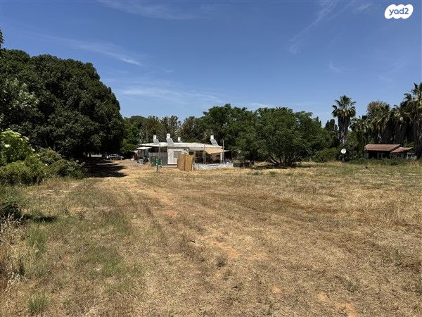 משק חקלאי/ נחלה, שדה ורבורג