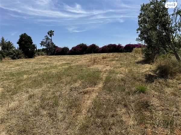 משק חקלאי/ נחלה, שדה ורבורג