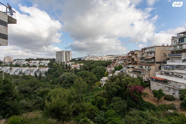 דירה, נעמ"ת, נעמ"ת, חיפה