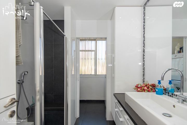 דירה, גלבוע, זיו, חיפה