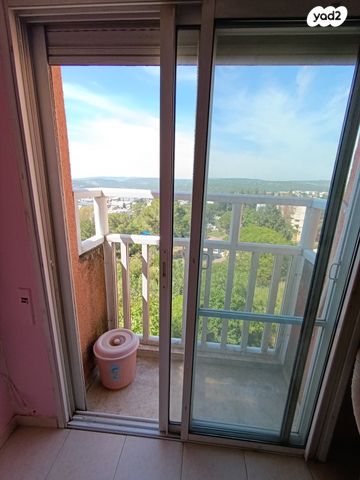 ז'בוטינסקי 430