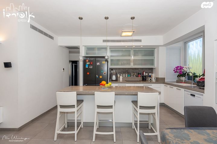 דירה, גלבוע, זיו, חיפה