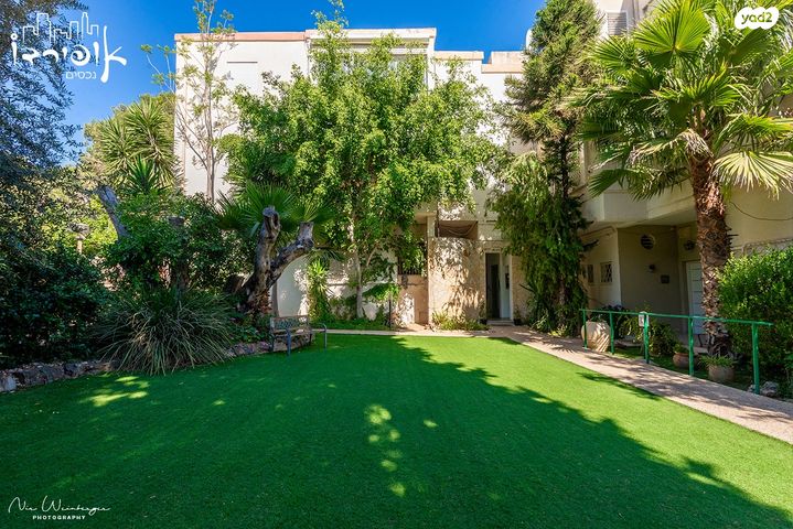 דירה, גלבוע, זיו, חיפה