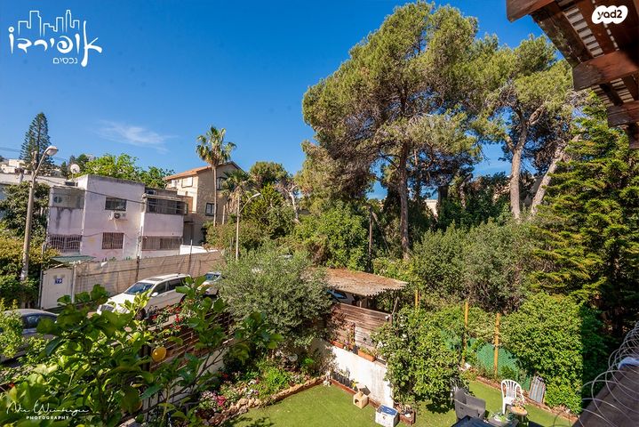 דירה, גלבוע, זיו, חיפה