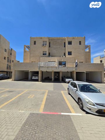 זית שמן 