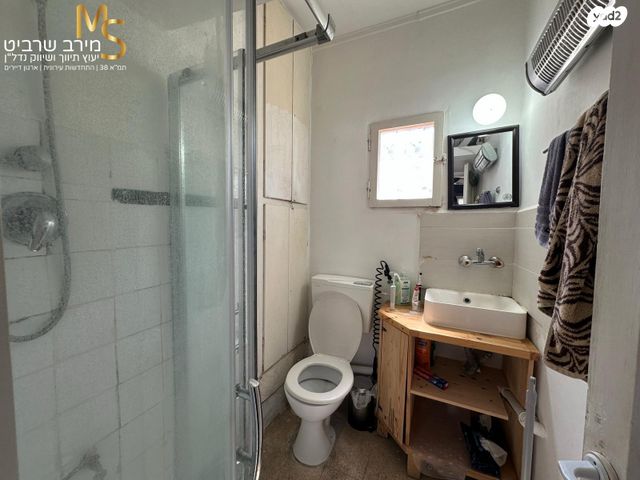 דירה, התיכון, בן דור, נשר