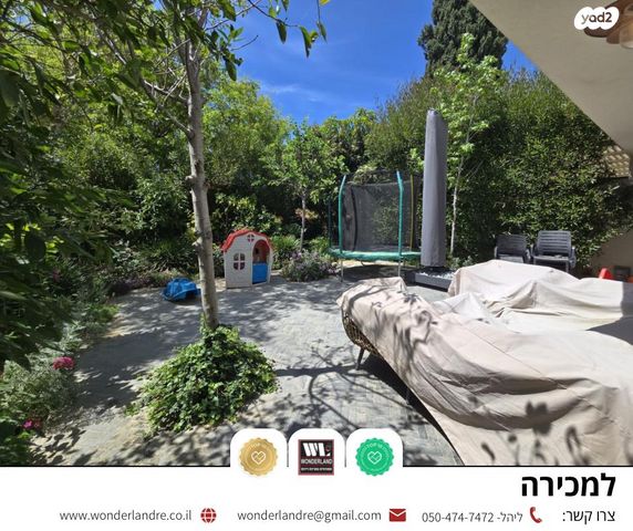אלכסנדרוני 