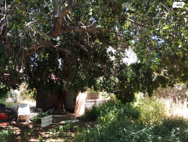 בית פרטי/ קוטג', המושבה, בנימינה גבעת עדה