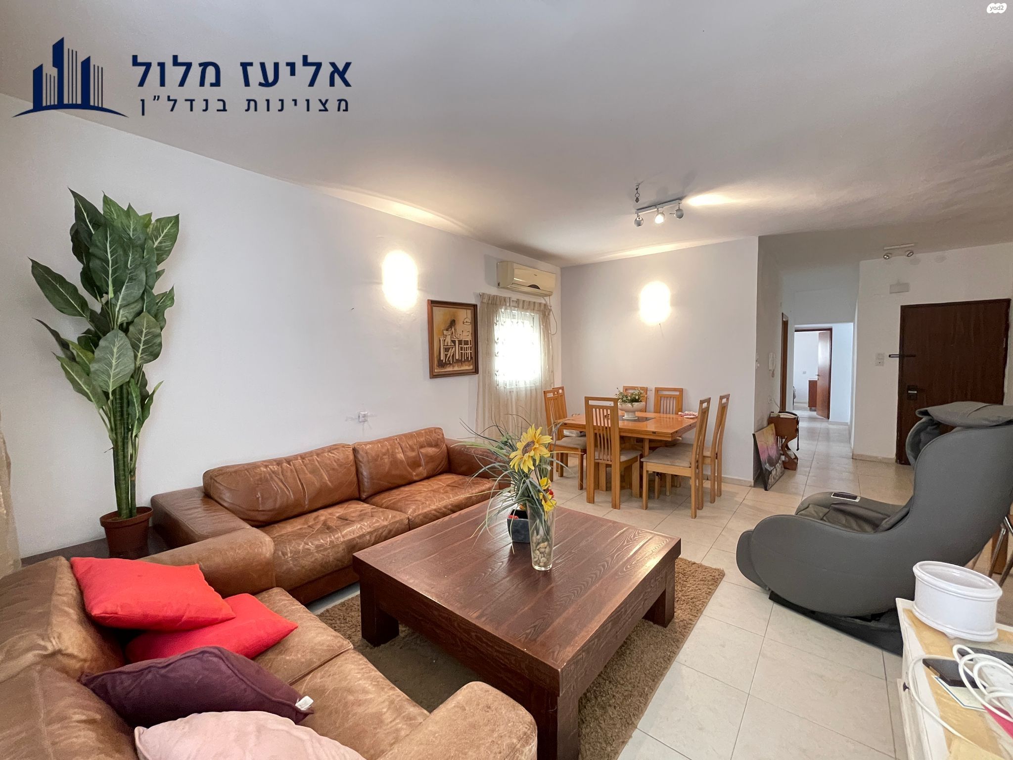 נס ציונה 