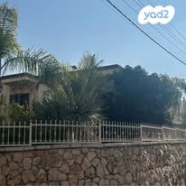 דב גרונר 