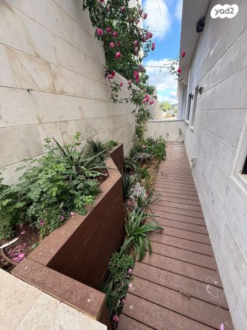 שדרות ודג'ווד 