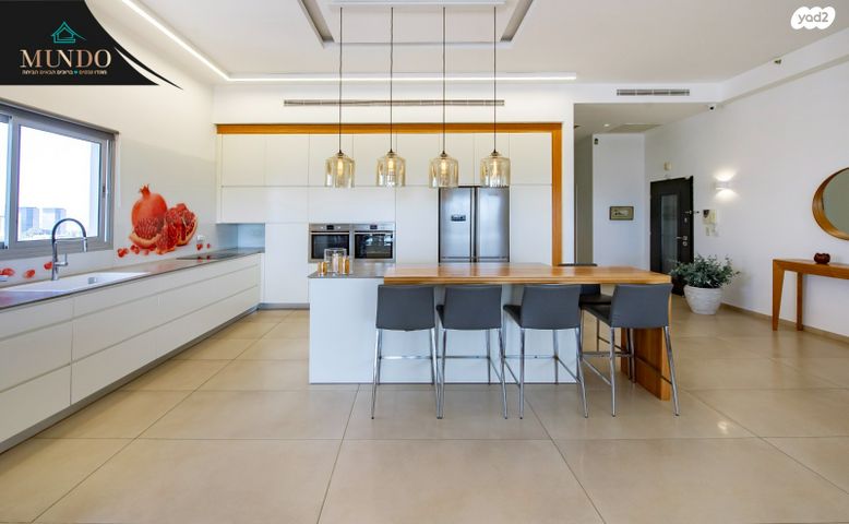 גג/ פנטהאוז, שא נס, פארק המושבה, באר יעקב