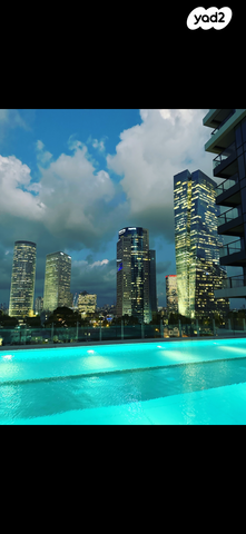 ליאונרדו דה וינצ'י 