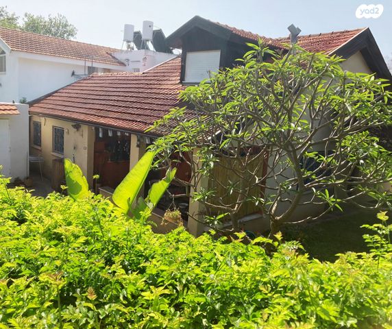 סמטת האחים פיש 29